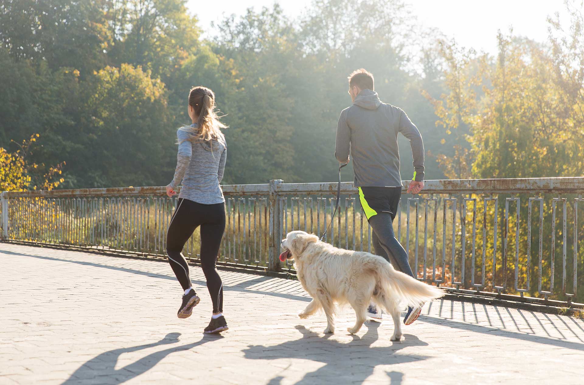 Mastering the Art of Running with Your Dog: Tips for a Smooth Experience