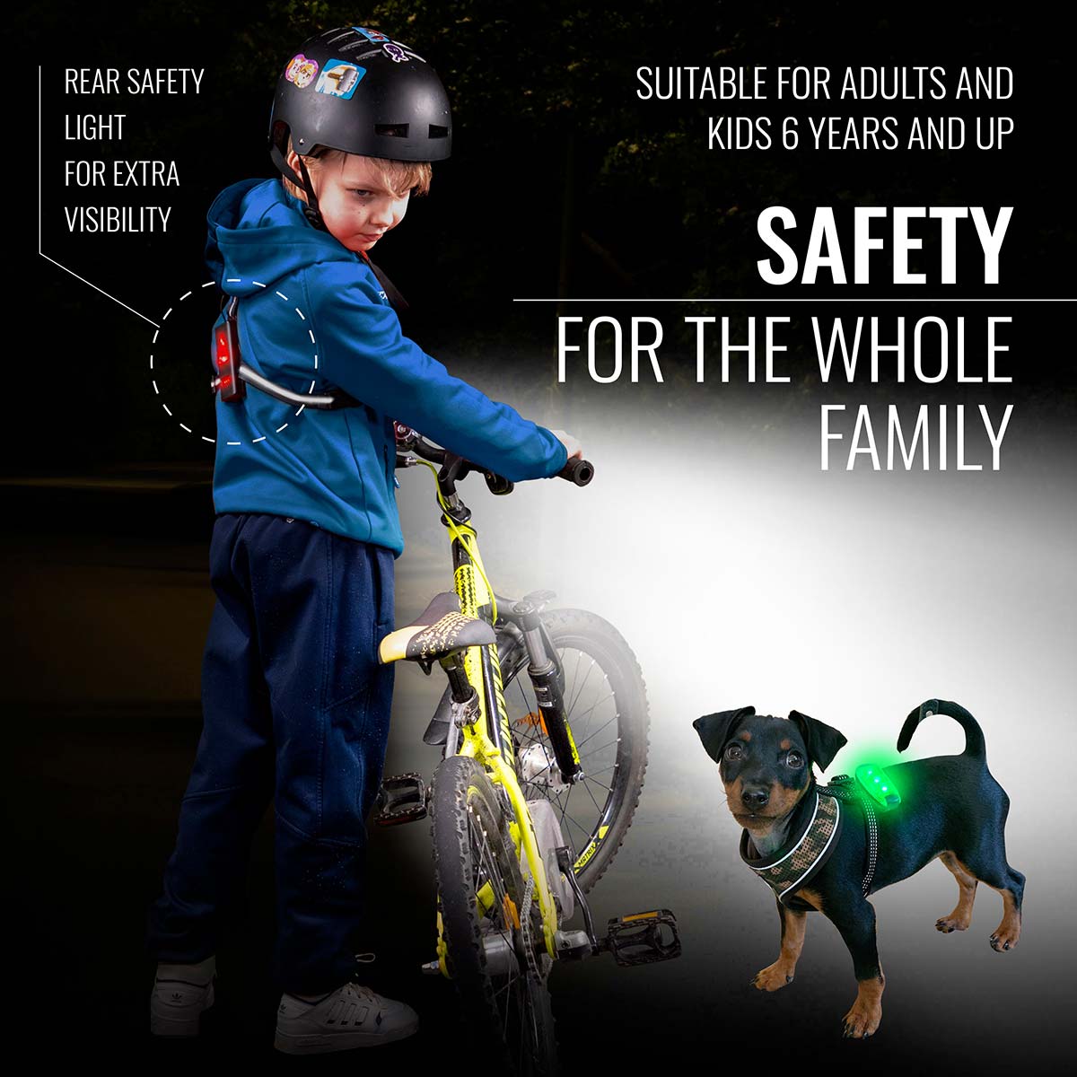 Dog walking safety gear hotsell